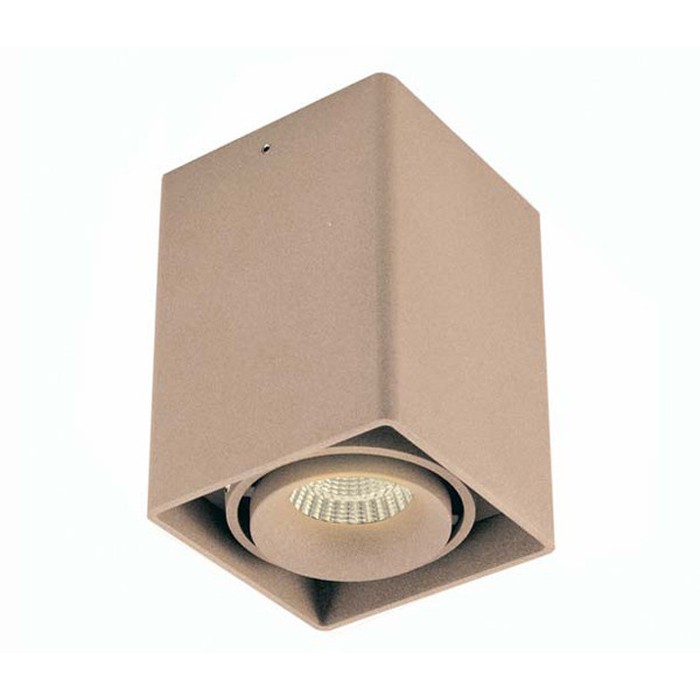 DL18610/01WW-SQ Champagne