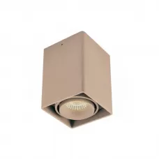DL18610/01WW-SQ Champagne