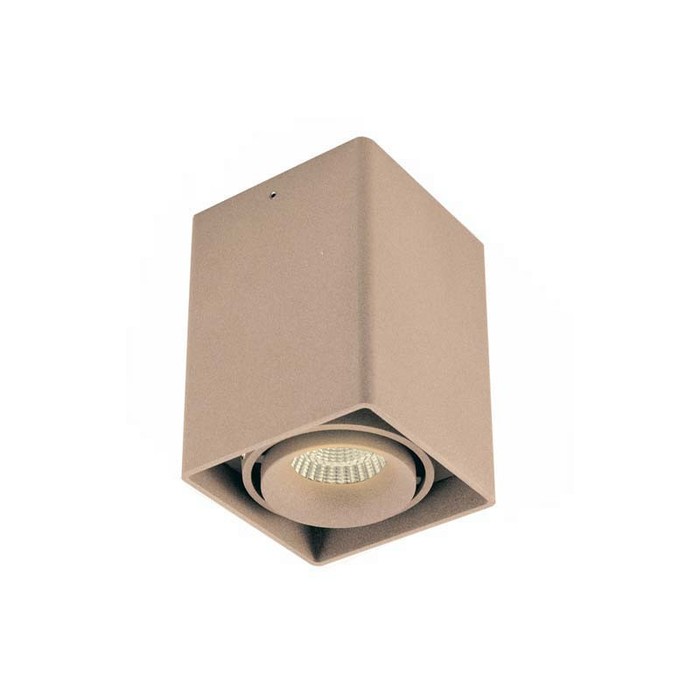 DL18610/01WW-SQ Champagne