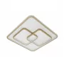 LED LAMPS 81313