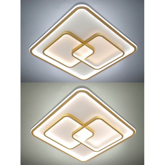 LED LAMPS 81313