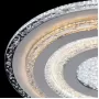 424011901