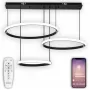 LED LAMPS 81281