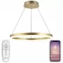 LED LAMPS 81296