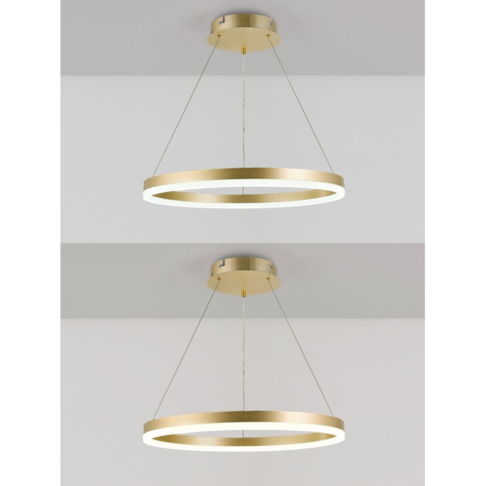 LED LAMPS 81296