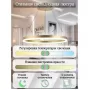 LED LAMPS 81296