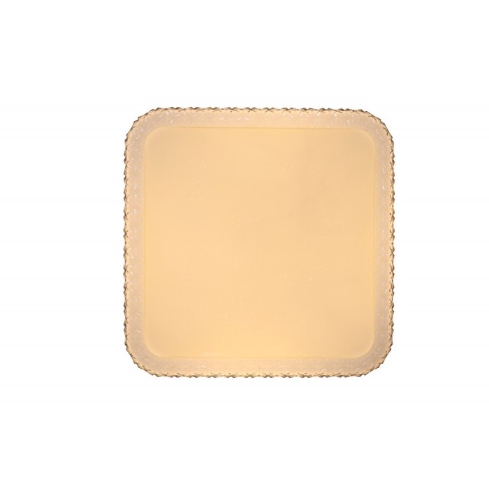 LED LAMPS 81093