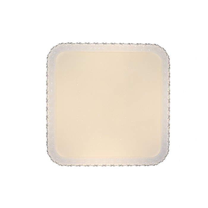 LED LAMPS 81093