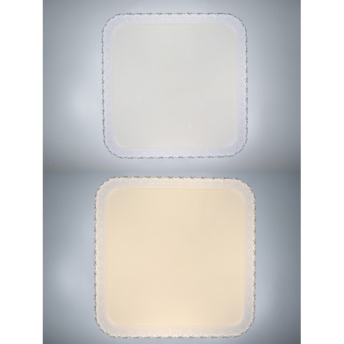 LED LAMPS 81093
