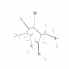 07531-16,16
