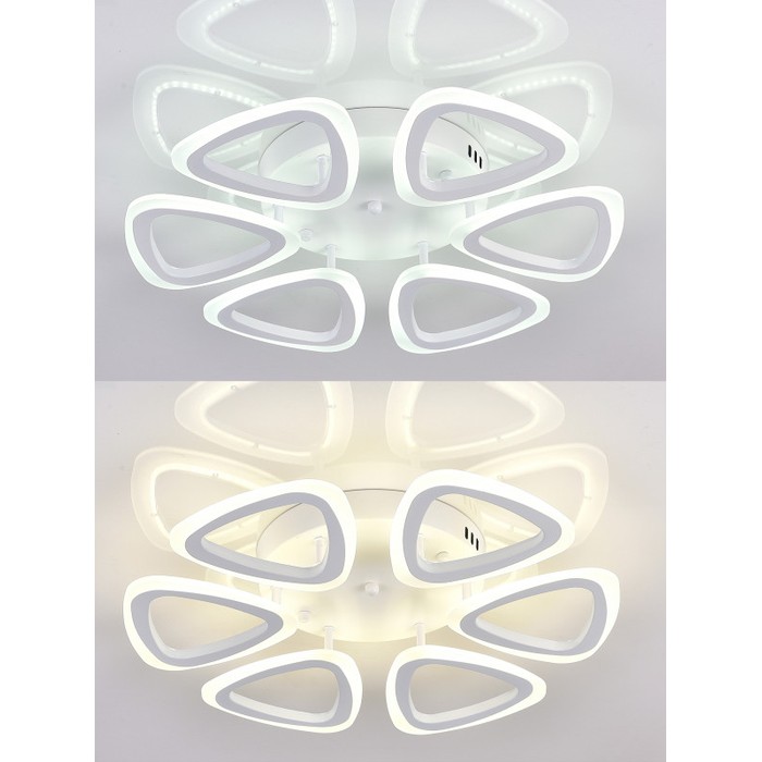 LED LAMPS 81127/6C