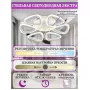 LED LAMPS 81127/6C