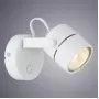 A1310AP-1WH