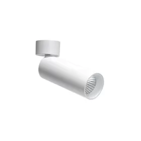 DL18895R10W1W ST