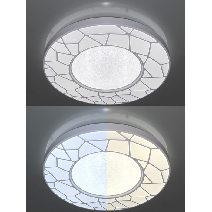LED LAMPS 81107