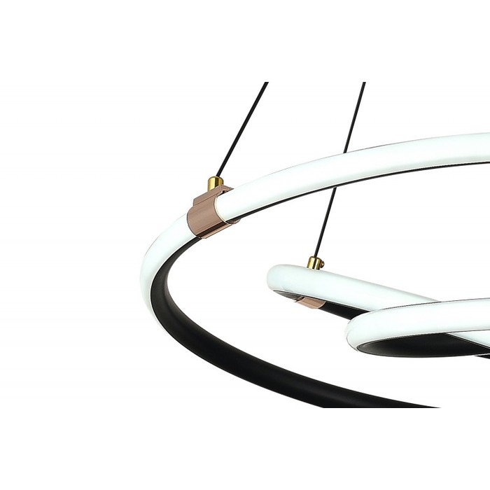 LED LAMPS 81291