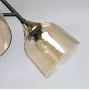 324017005