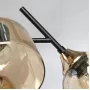 324017005