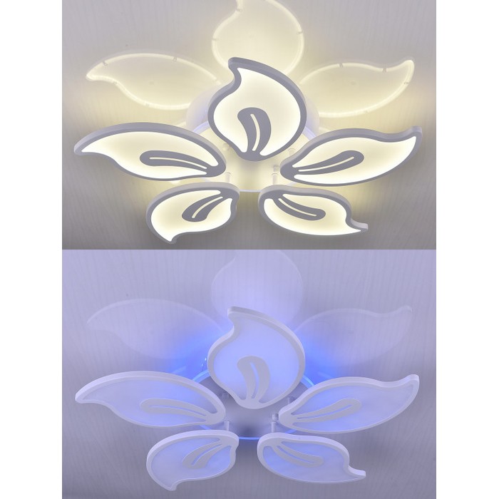 LED LAMPS 81153