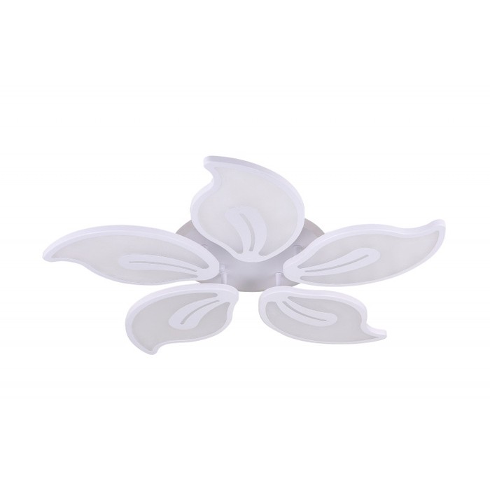 LED LAMPS 81153