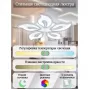 LED LAMPS 81153