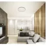 LED LAMPS 81077