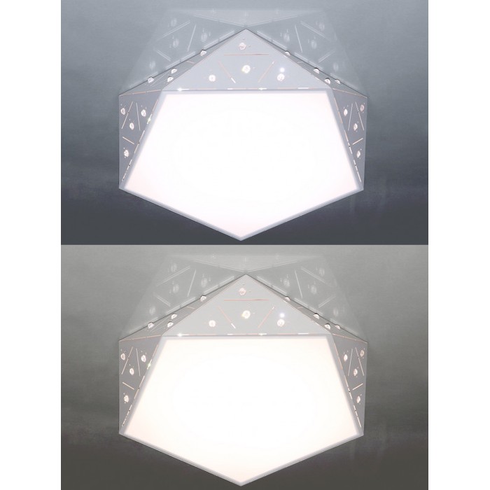 LED LAMPS 81206