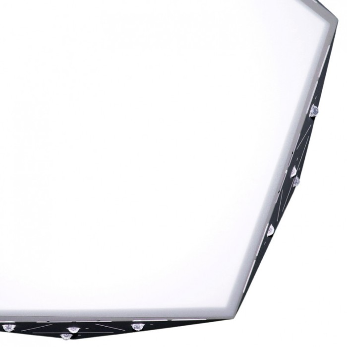 LED LAMPS 81206