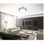 LED LAMPS 81206