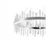 LED LAMPS 81257
