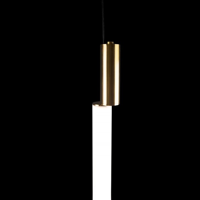 10051 Gold
