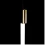 10051 Gold