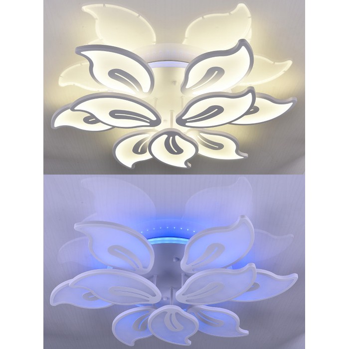 LED LAMPS 81154