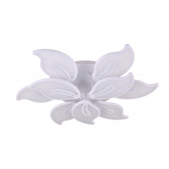 LED LAMPS 81154
