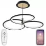 LED LAMPS 81363
