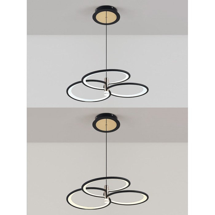 LED LAMPS 81363