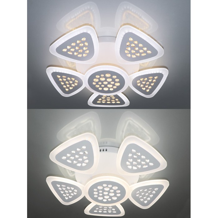 LED LAMPS 81202