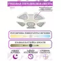 LED LAMPS 81202