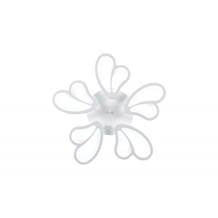 LED LAMPS 81219