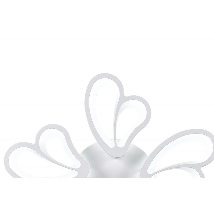 LED LAMPS 81219