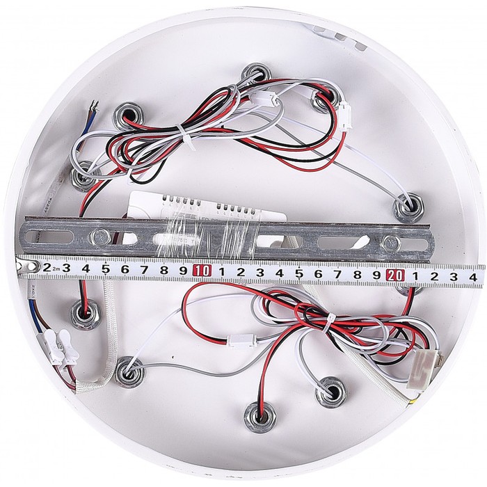 LED LAMPS 81219