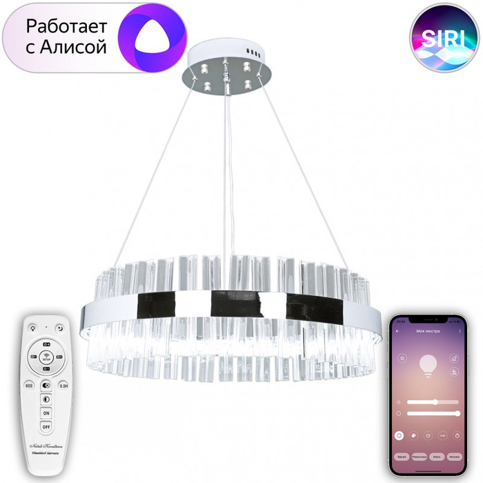 LED LAMPS 81221