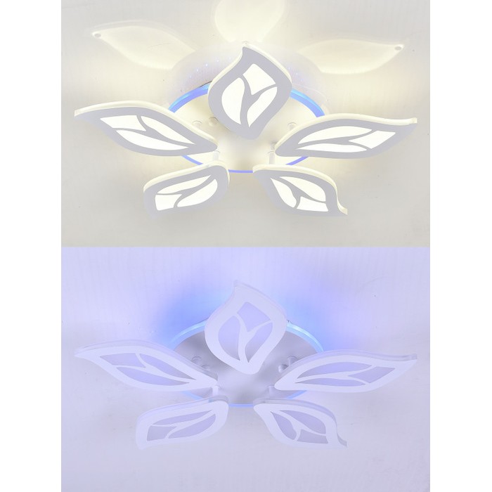 LED LAMPS 81155