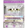LED LAMPS 81222