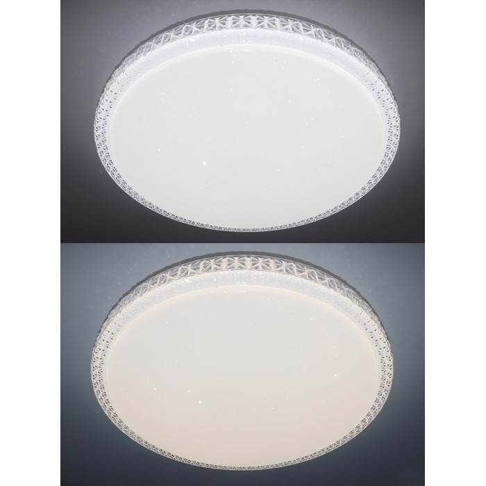LED LAMPS 81078