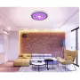 LED LAMPS 81085