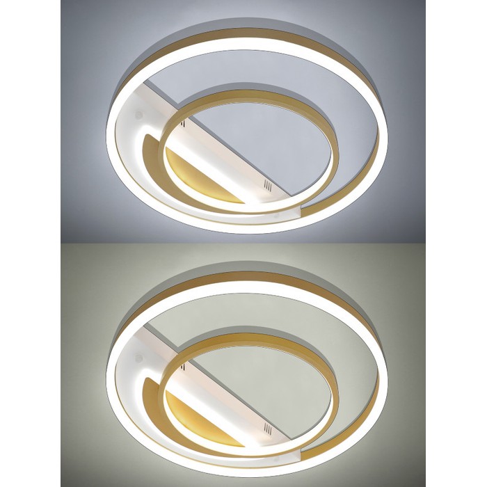 LED LAMPS 81311