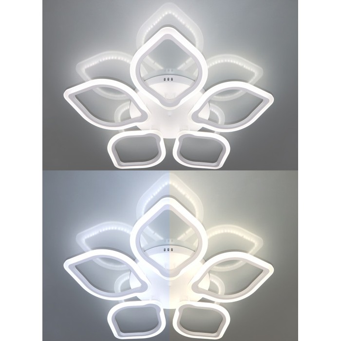 LED LAMPS 81200