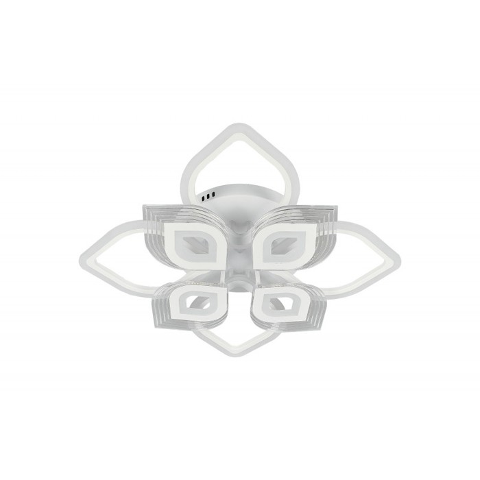 LED LAMPS 81204