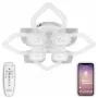 LED LAMPS 81204